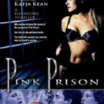 Розовая тюрьма / Pink Prison (1999) смотреть онлайн бесплатно