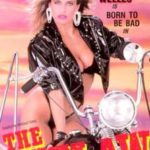 Вне Закона / The Outlaw (1989) смотреть онлайн бесплатно