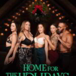 Home For The Holidays (2021) [Casey Calvert] watch free porn online