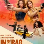 In The Bag (2026) Digital Playground